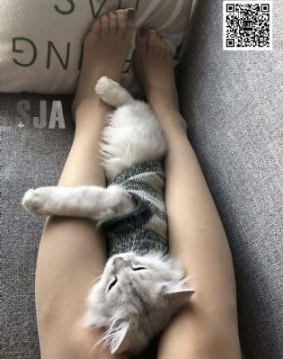 黑人伦理禁忌二