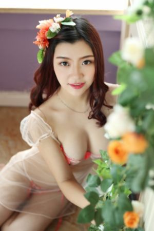 后宫露营第二季无增减