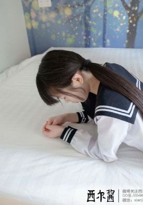 鹡鸰